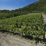 Di Tregognano Chiaveretto