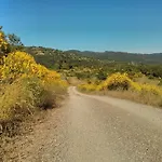 Lejlighed Di Tregognano