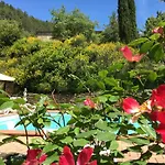 Di Tregognano