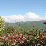 Lejlighed Di Tregognano