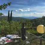 Di Tregognano *