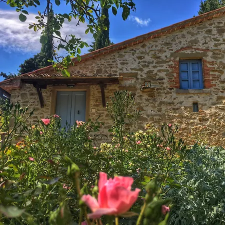 Di Tregognano * Chiaveretto