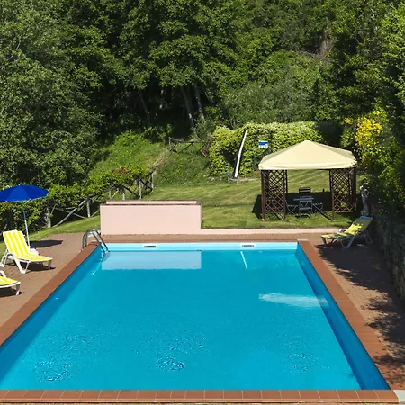 Di Tregognano *