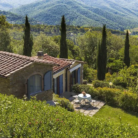 Di Tregognano