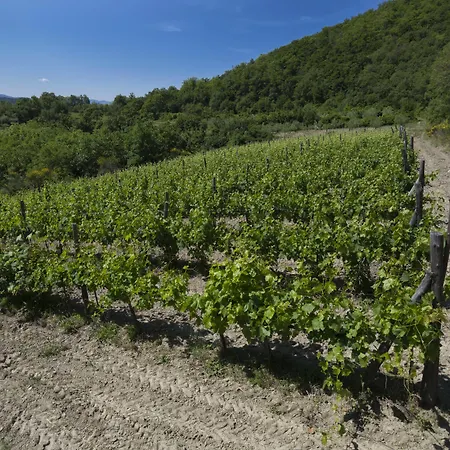 Di Tregognano Chiaveretto