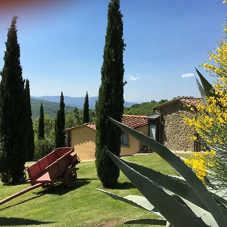 Di Tregognano *